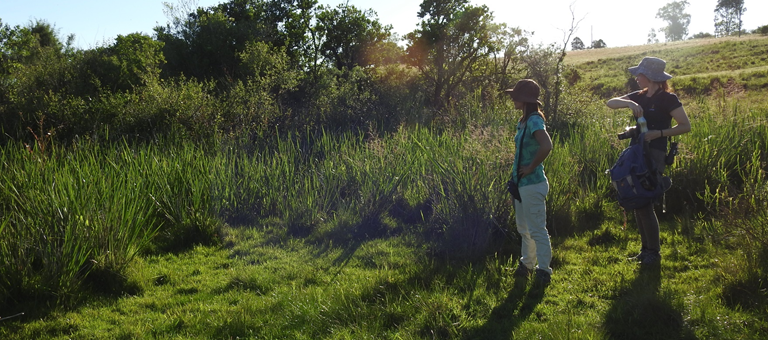 Paso Centurión, Uruguay