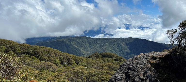 Southwest and Highlands Costa Rica