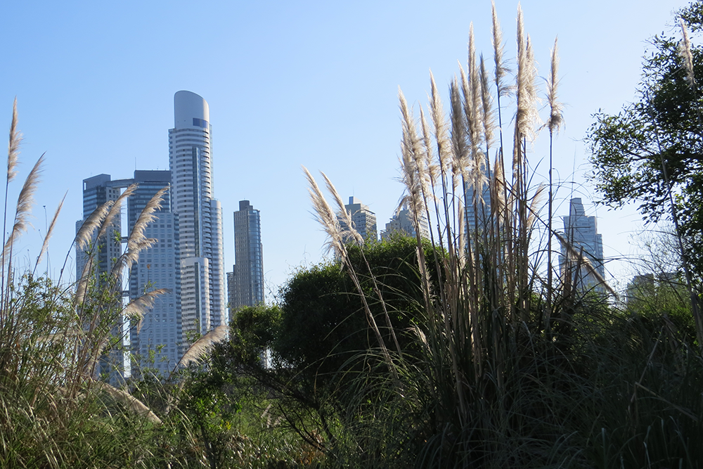 Costanera Sur, Buenos Aires, Argentina. An ecological refuge created through new development.