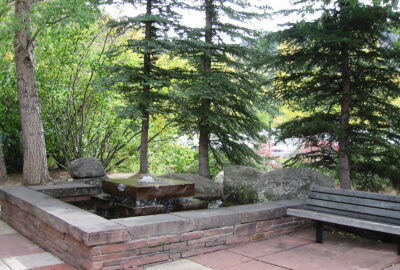 Media Image