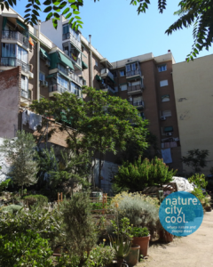 Community Gardens-Madrid, Spain