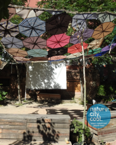 Community Gardens-Madrid, Spain