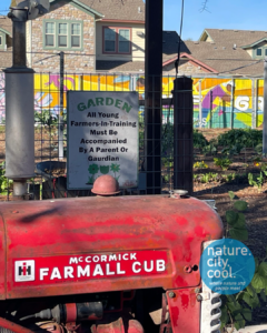 Community Gardens-Bonton Farms-Training