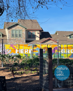 Part of the main garden at Bonton Farms, Dallas TX