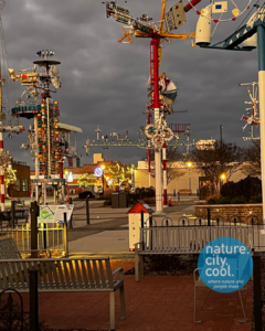 Vollis Simpson Whirligig Park