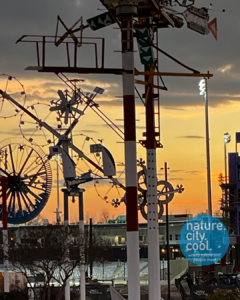 Vollis Simpson Whirligig Park