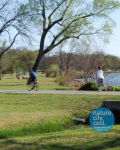 White Rock Lake community