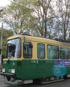 Some of Helsinki’s transportation options