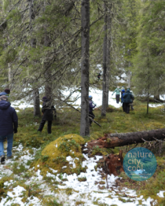 People are allowed to hike through properties in much of Finland.