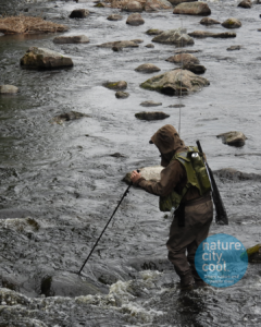 Fishing with basic gear is also permitted under “Everyone’s Rights”.
