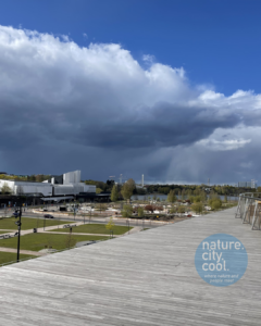 The award-winning Helsinki Central Library Oodi opened in 2018
