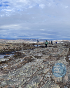 The view from the top of Kiilopää Fell