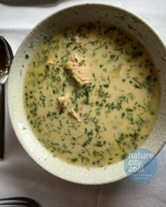 Traditional Salmon soup