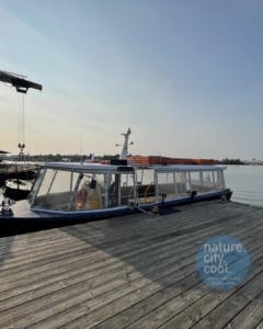 Some of Helsinki’s transportation options