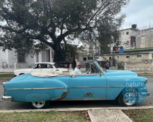 This 1954 Chevrolet Bel-Air Cabriolet is still going strong … in Havana