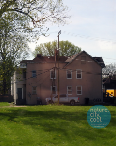 Large sections of residential neighborhoods have been abandoned