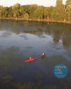 Kayaking in Humbug Marsh Unit at the Detroit River Refuge – Photo credit: Ian Shive/USFWS