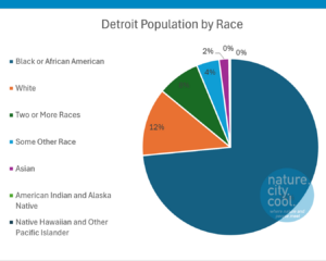 Racial Distribution of Detroit Population, 2024. Source: US Decennial Census