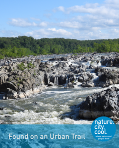 Rugged river rapids cascading through rocky channels with tree-lined banks under a blue sky.