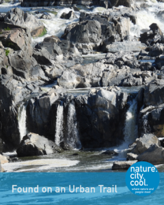 Rugged river gorge with several narrow waterfalls cascading over dark gray boulders.