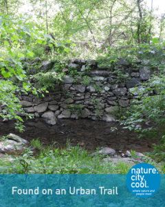 Stone retaining wall and shallow creek framed by dense green foliage along an urban trail.
