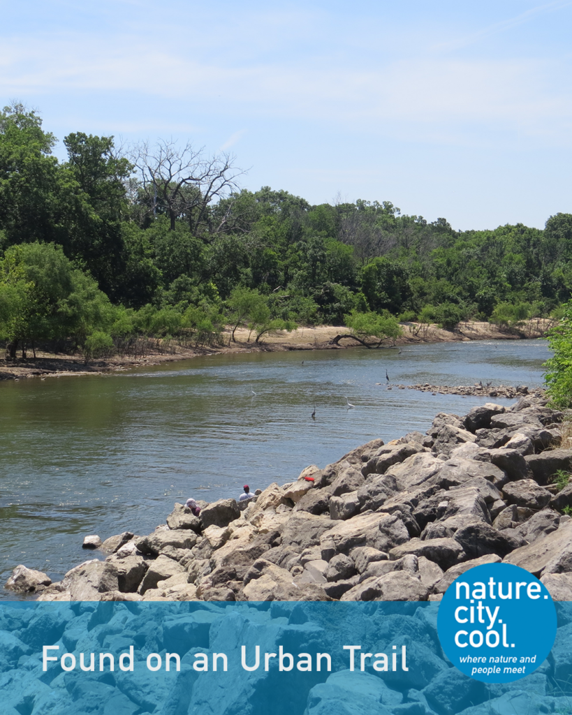 A river corridor reclaimed by nature.
