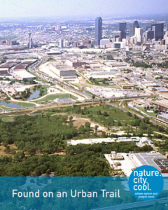 A forest grows alongside a major city.