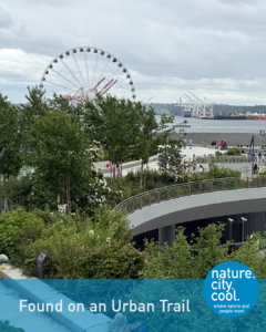Infrastructure reconnects people with the waterfront.