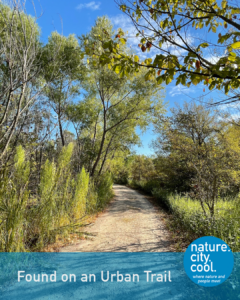 A trail through an urban wilderness.