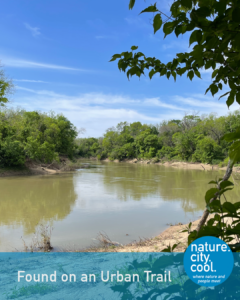 Nature along the river's edge.