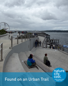 Public space opens toward the water.