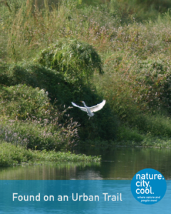 Wildlife finds habitat in the urban forest.