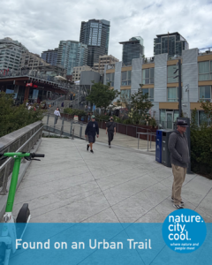 A path reconnecting people, places and activity.